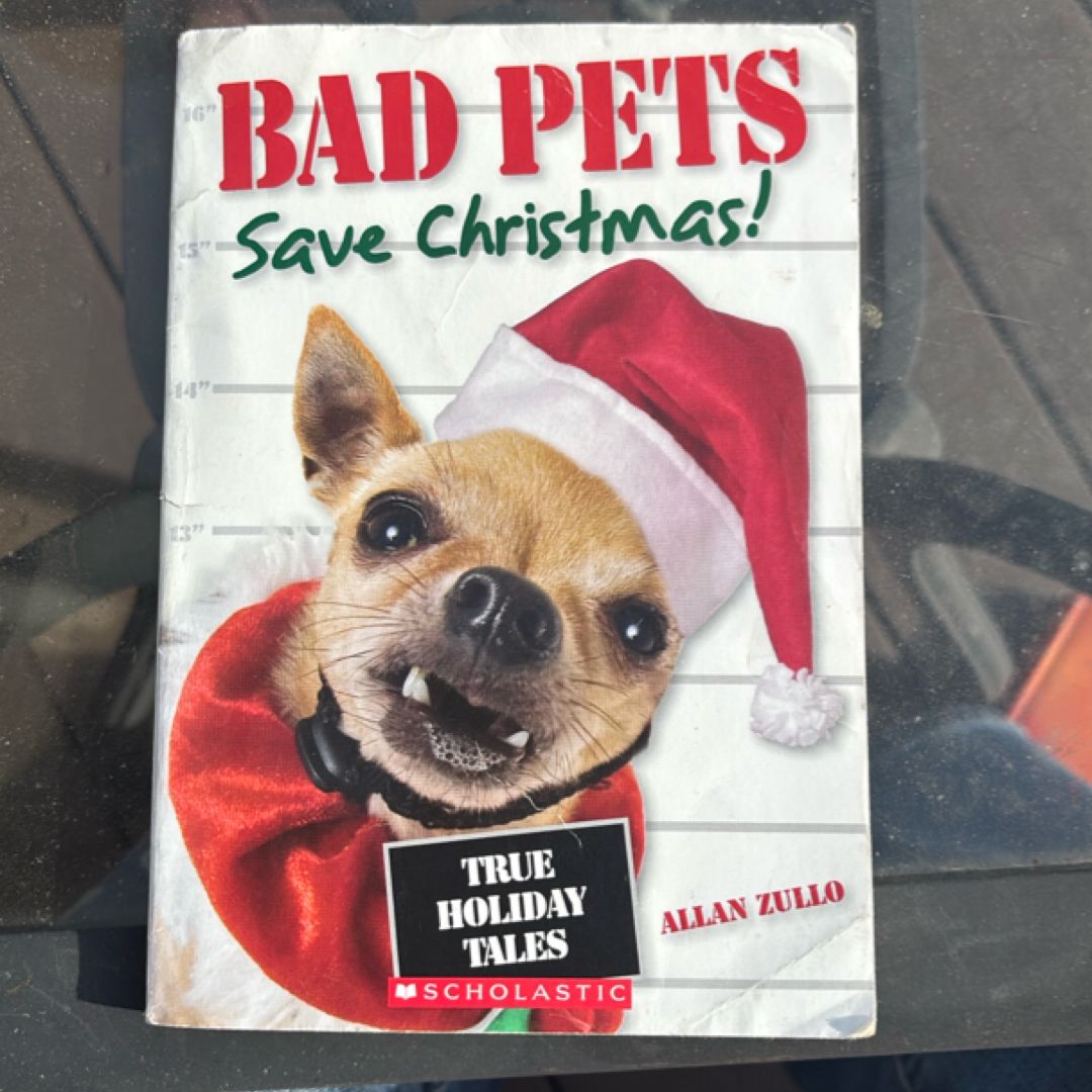 Bad Pets Save Christmas!