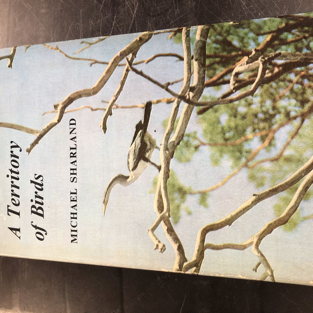 A Territory of Birds