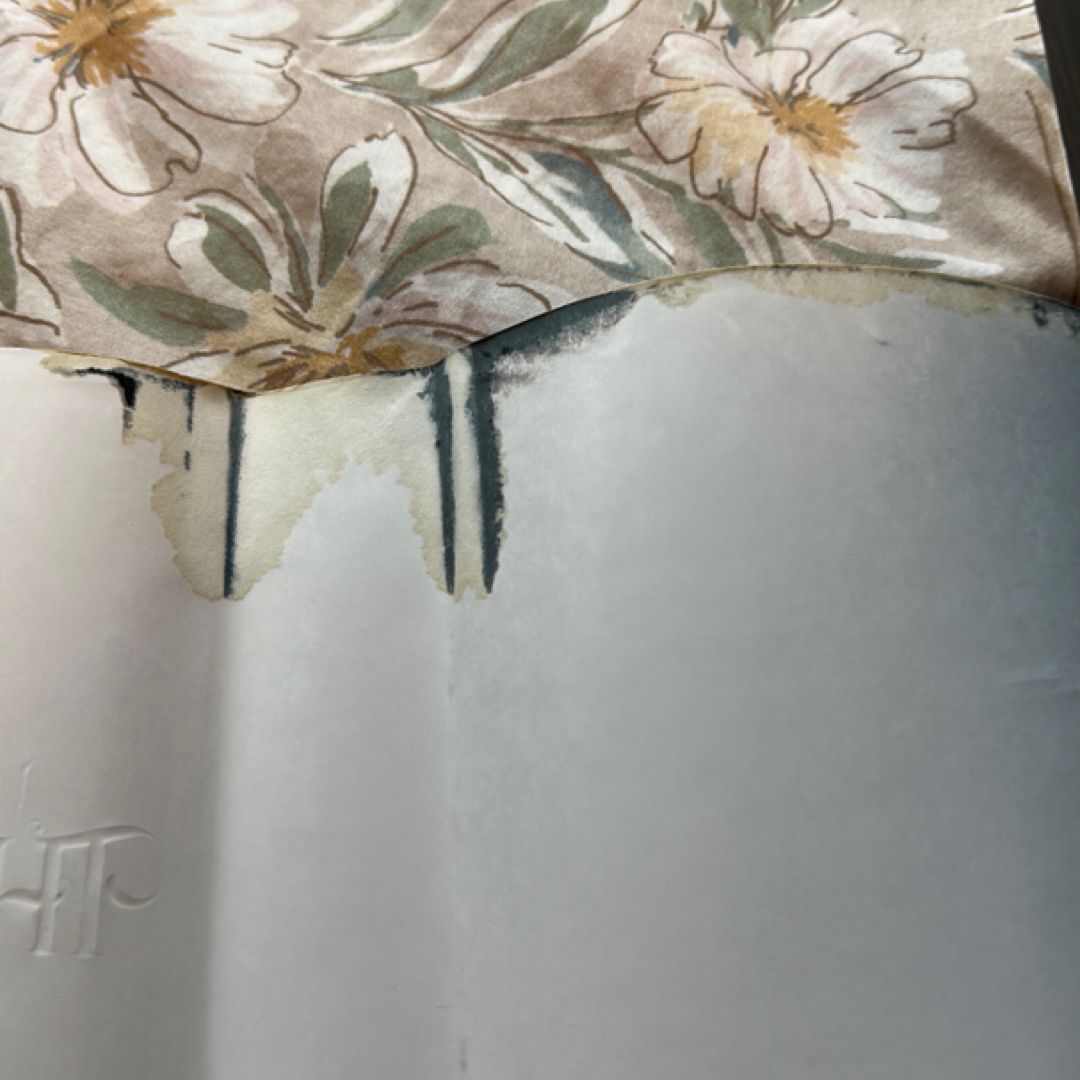 The Thirteenth Child