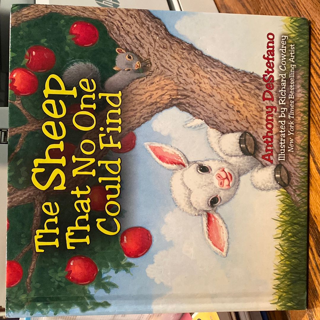 The Sheep That No One Could Find