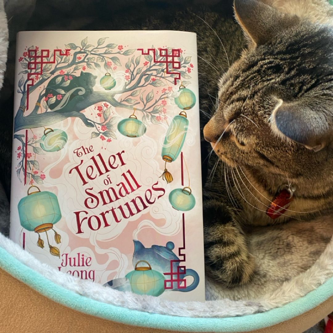 The Teller of Small Fortunes 