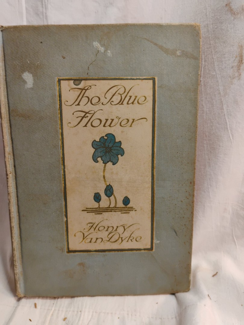 The Blue Flower 