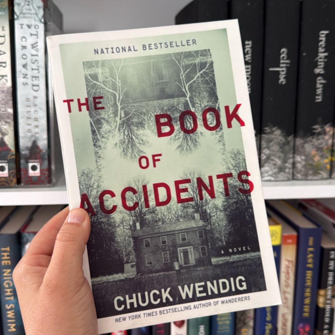 The Book of Accidents
