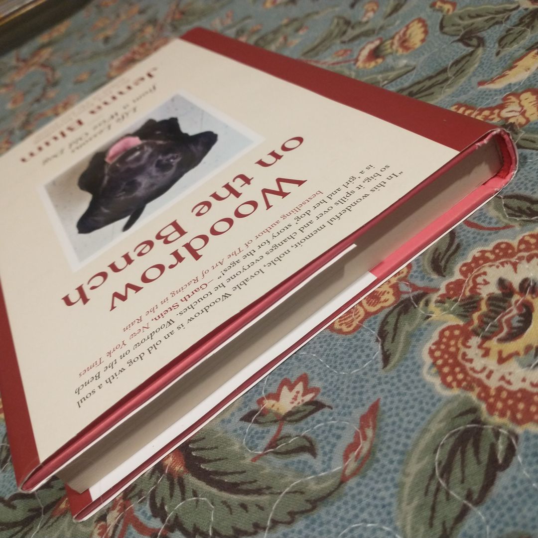 Woodrow on the Bench