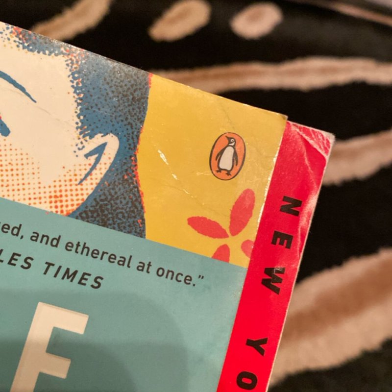 A Tale for the Time Being