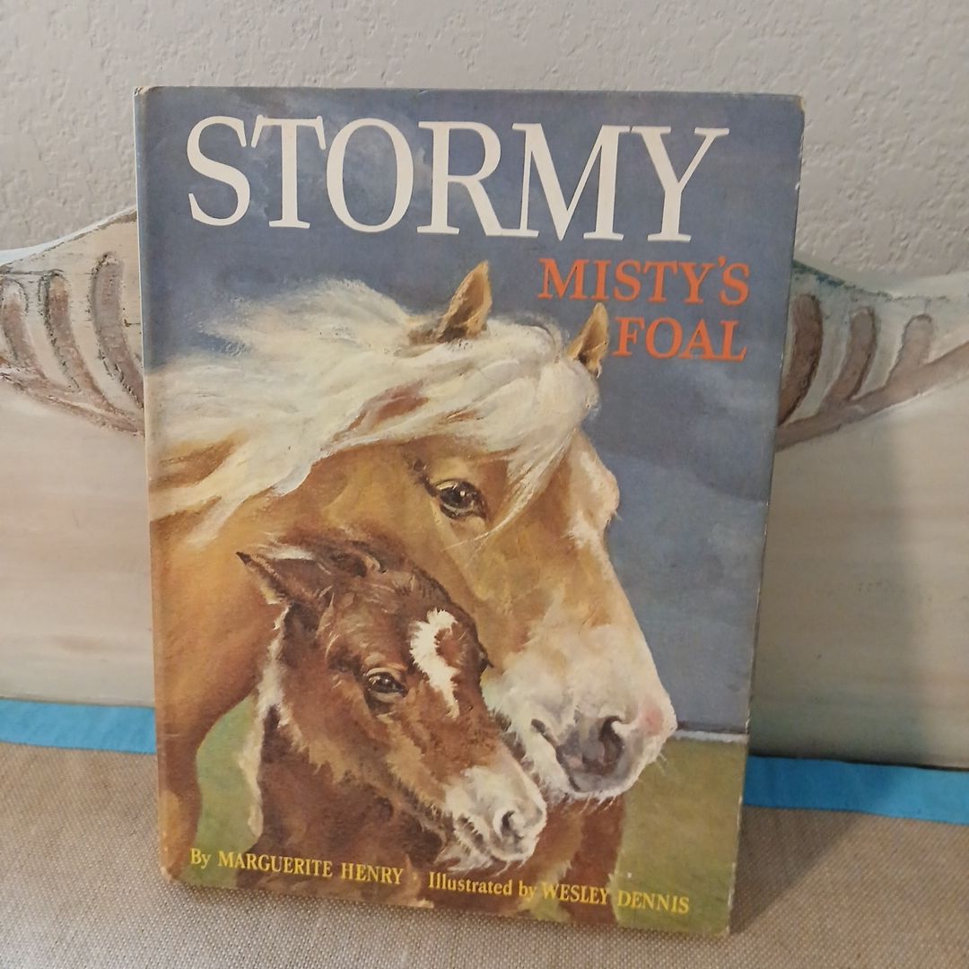 Stormy Misty's Foal