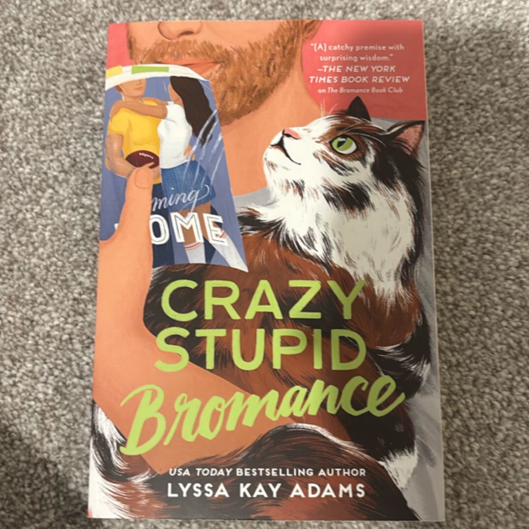 Crazy Stupid Bromance