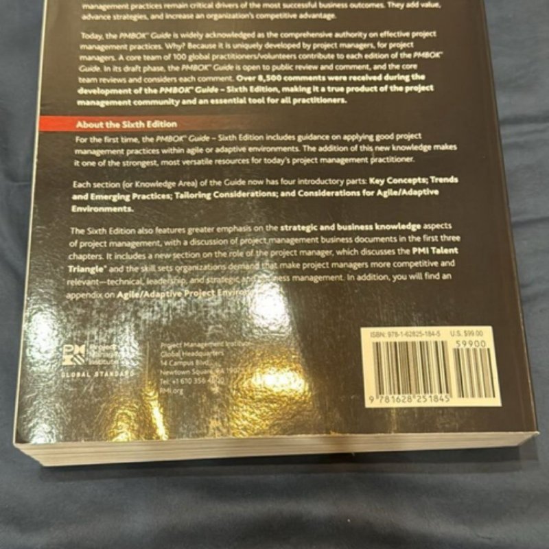 A Guide to the Project Management Body of Knowledge