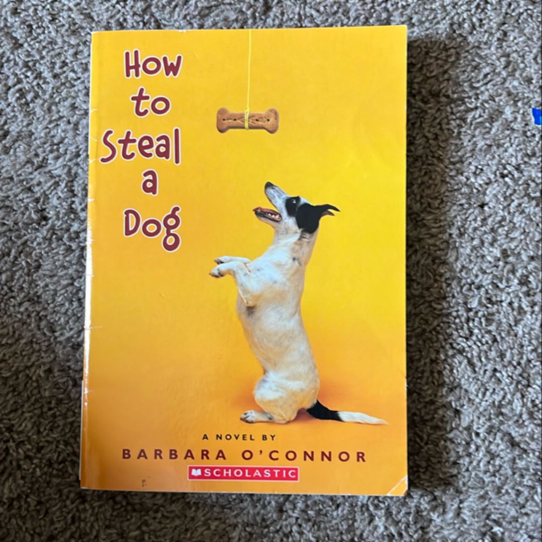 How to Steal a Dog