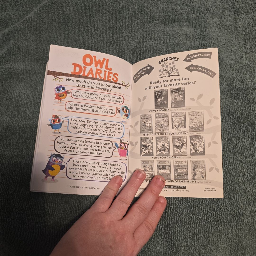 Baxter Is Missing - A Branches Book