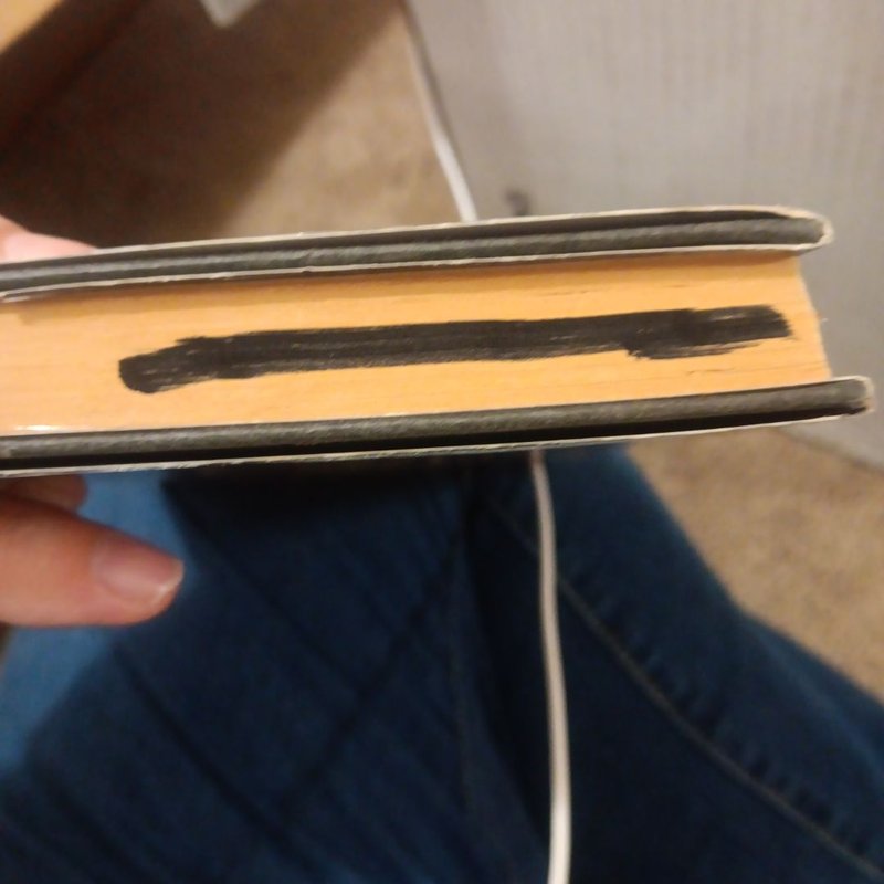 The Cat Who Saw Stars