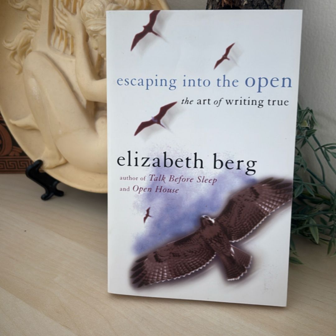 Escaping into the Open