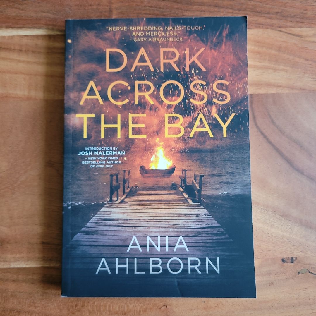 Dark Across the Bay
