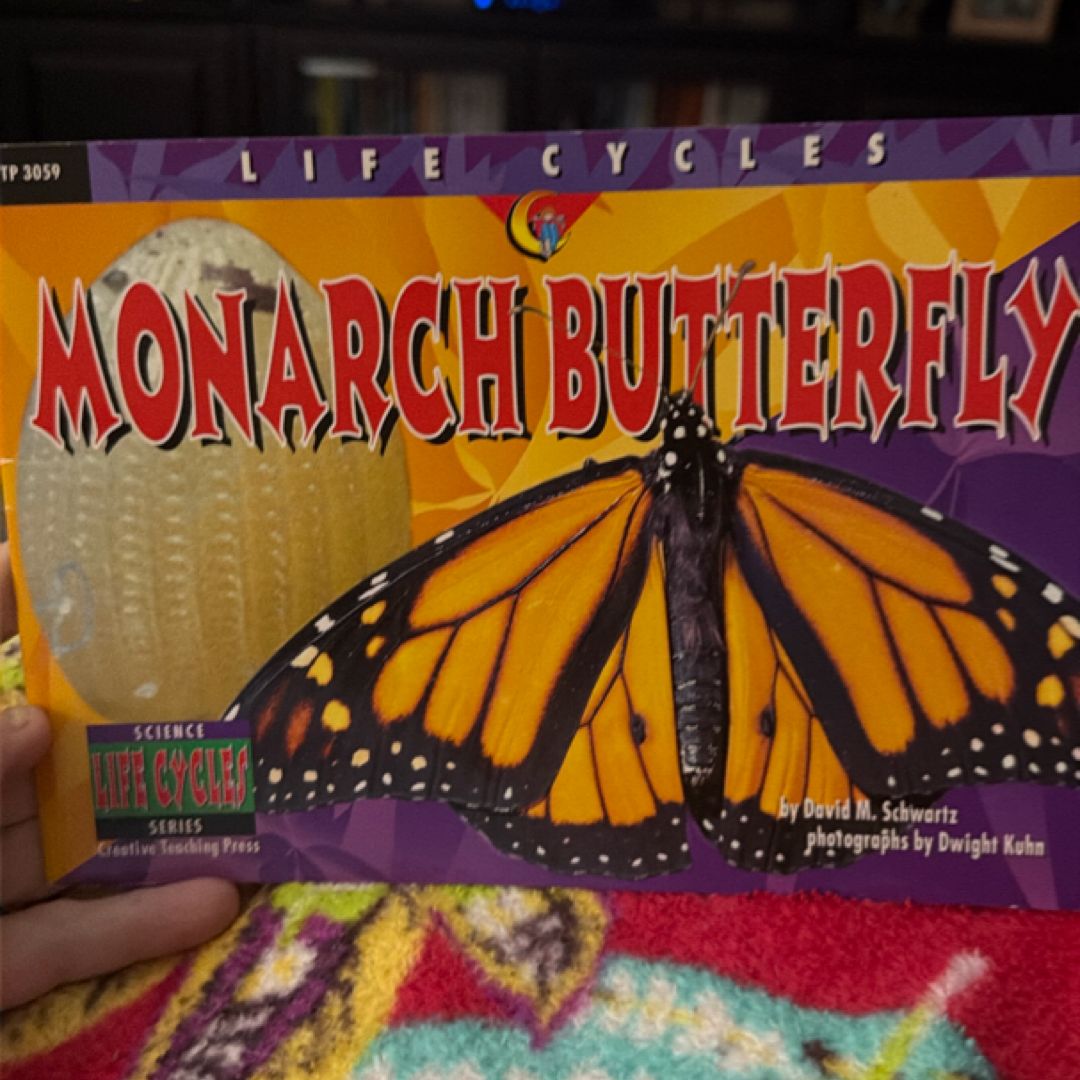 Momarch Butterfly