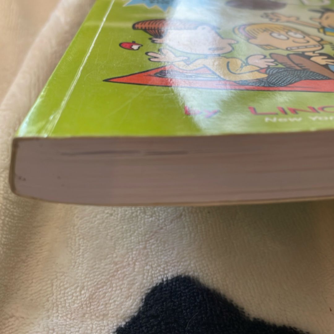 Big Nate: the Crowd Goes Wild!