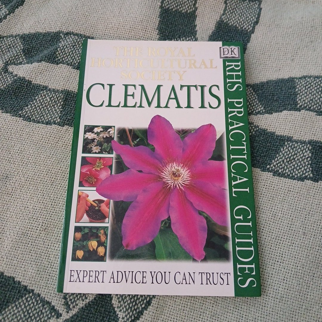 Clematis