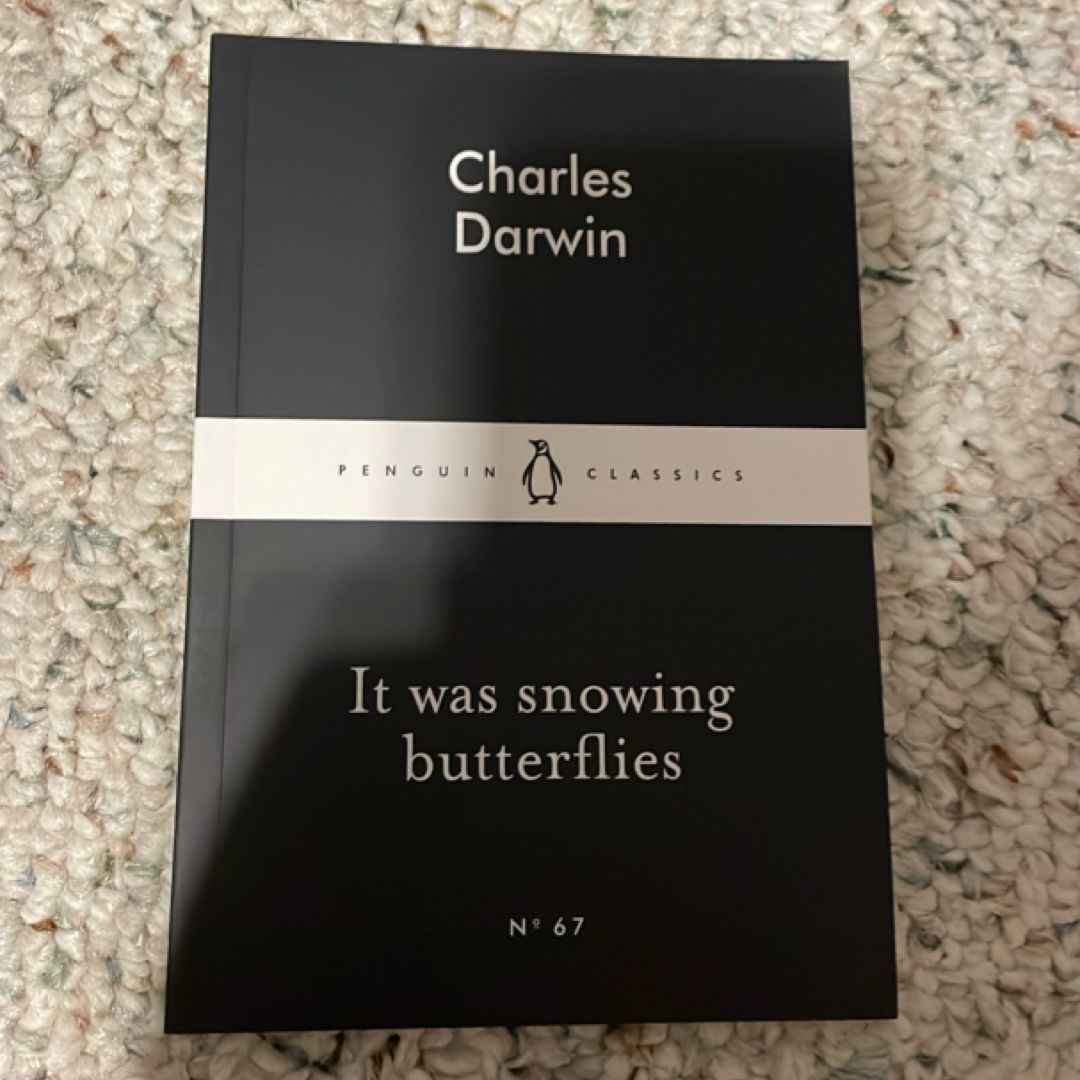 It Was Snowing Butterflies