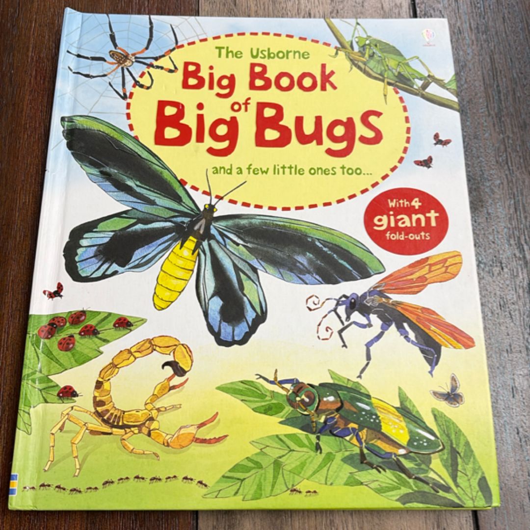 Big Book of Big Bugs