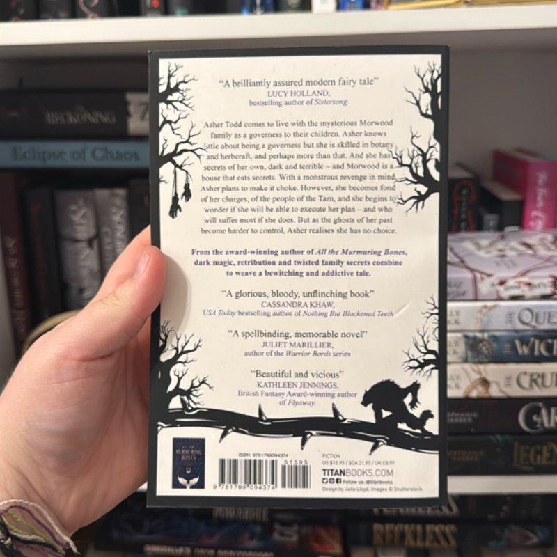 The Path of Thorns by A. G. Slatter