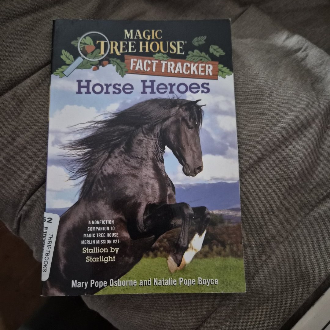 Horse Heroes