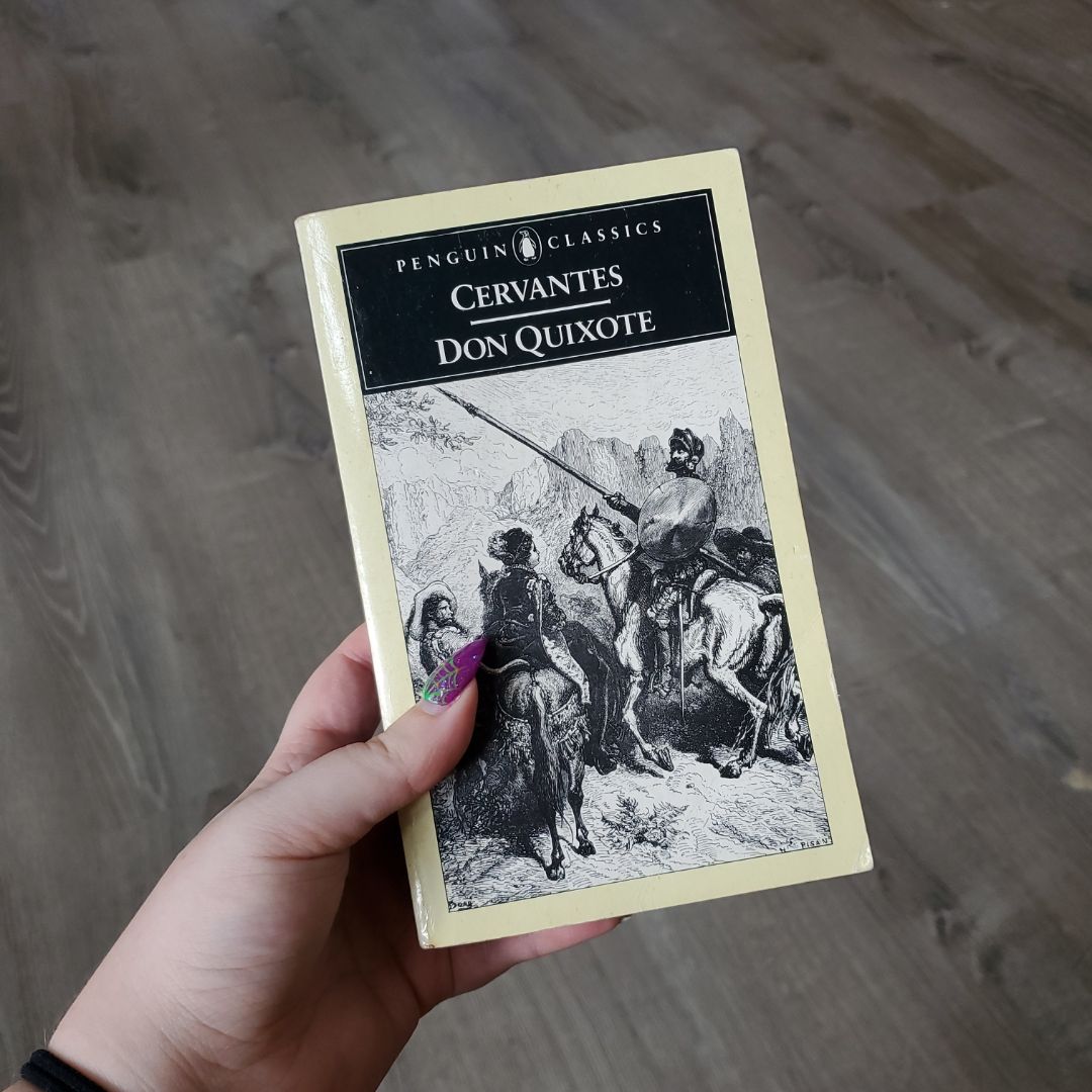 The Adventures of Don Quixote