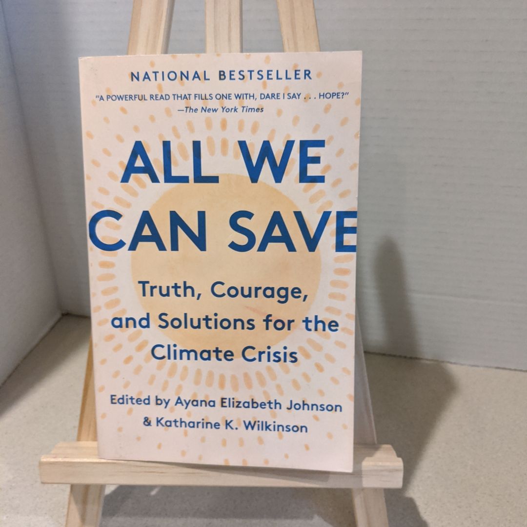 All We Can Save