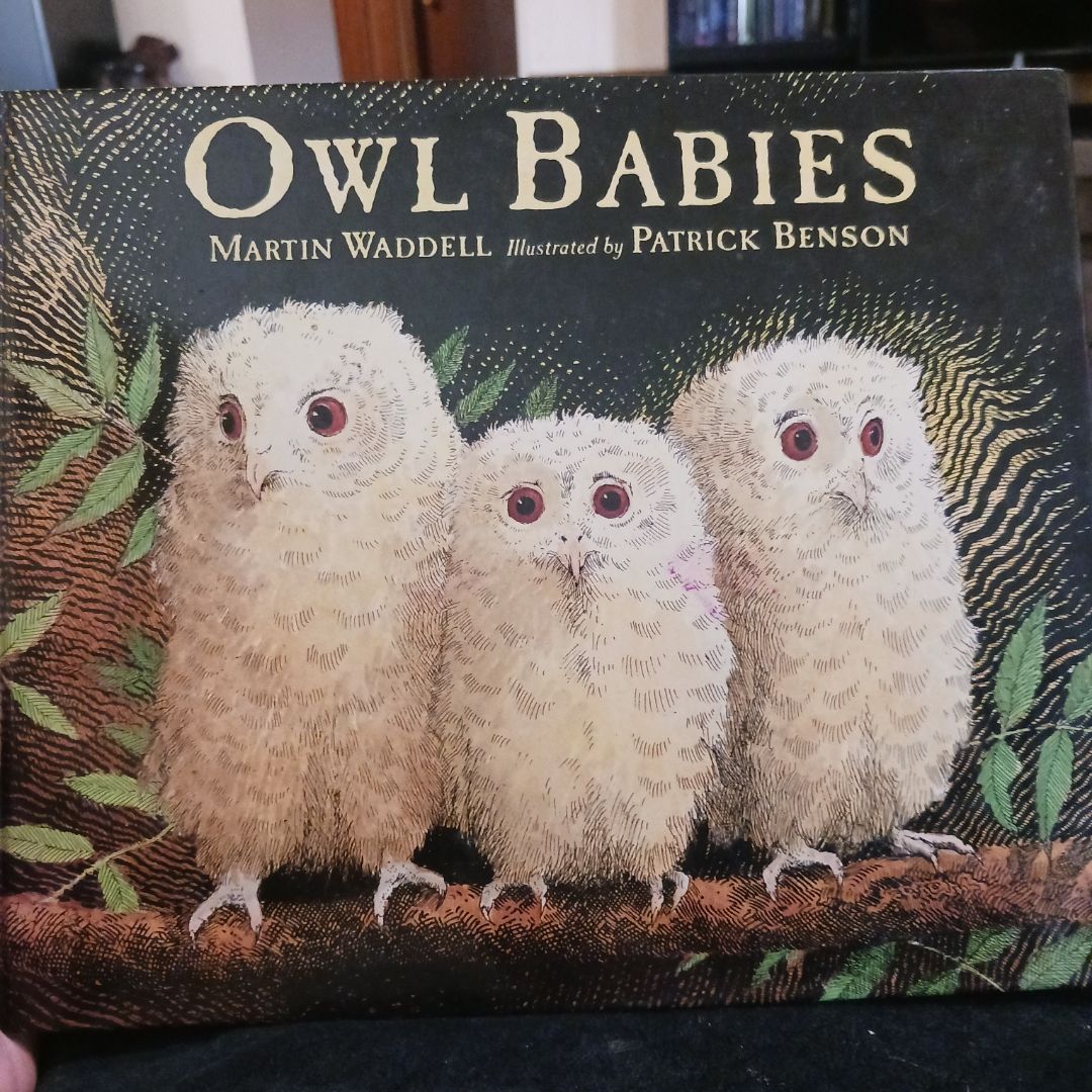 Owl Babies