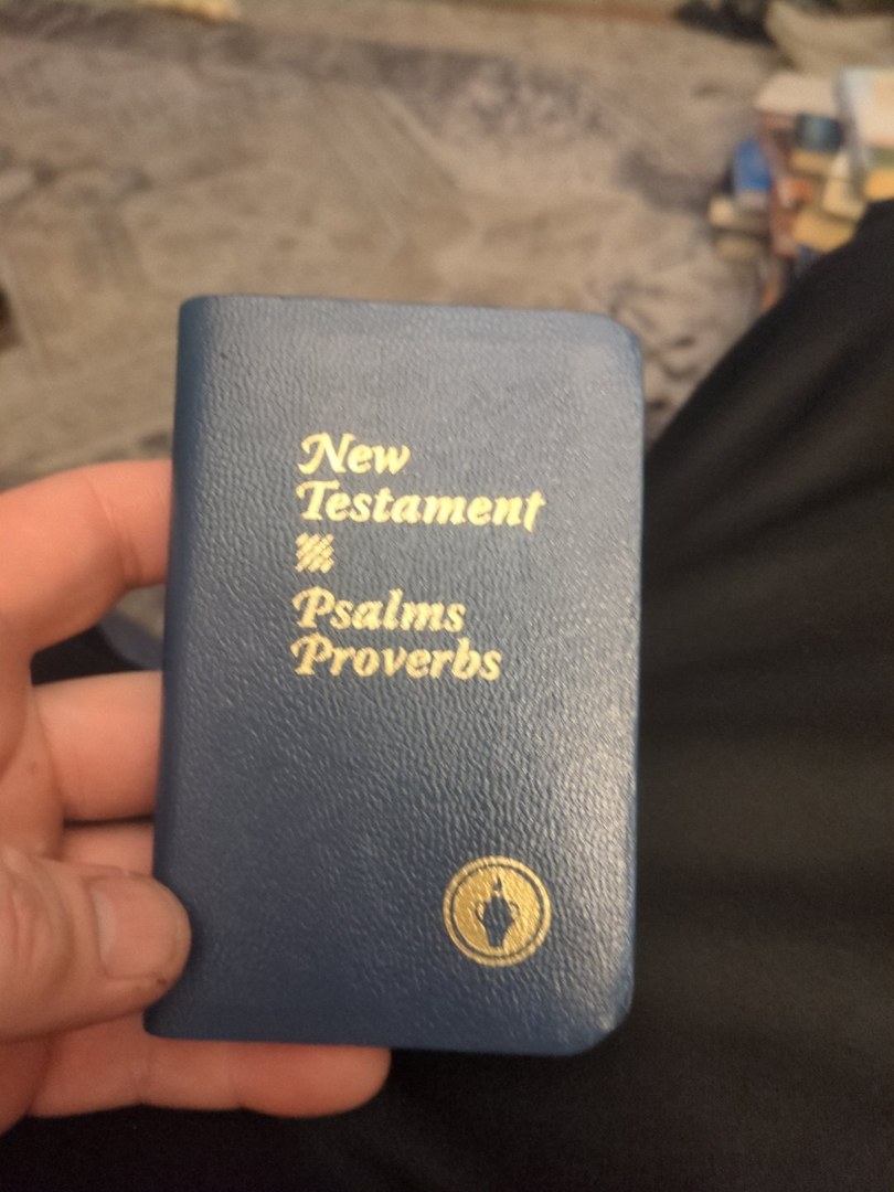 New testament The palms and proverbs