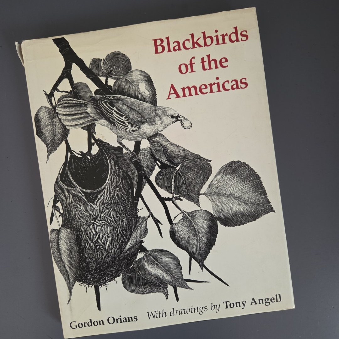 Blackbirds of the Americas