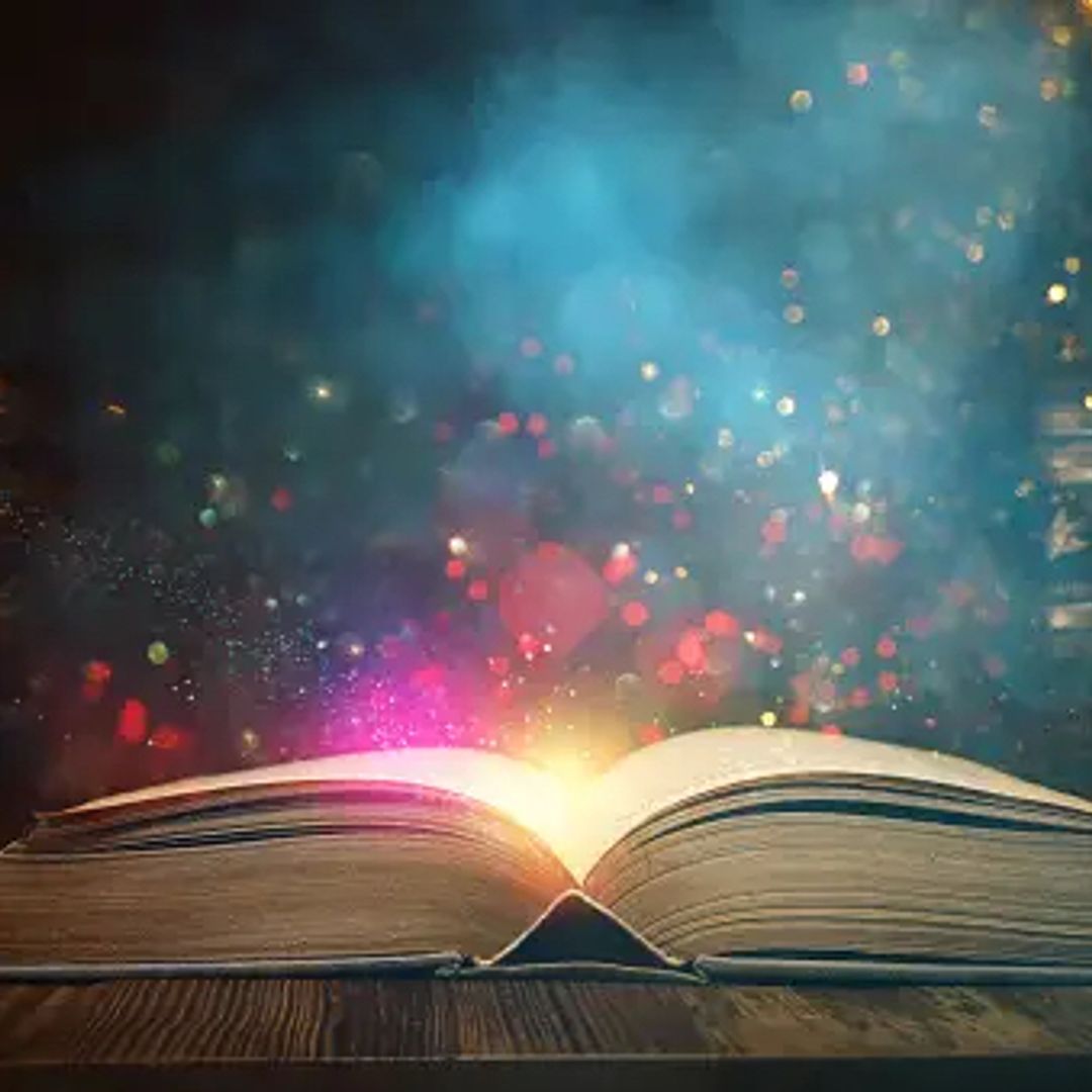 Arielle’s Bookstore