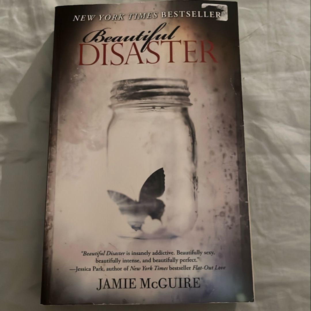 Beautiful Disaster