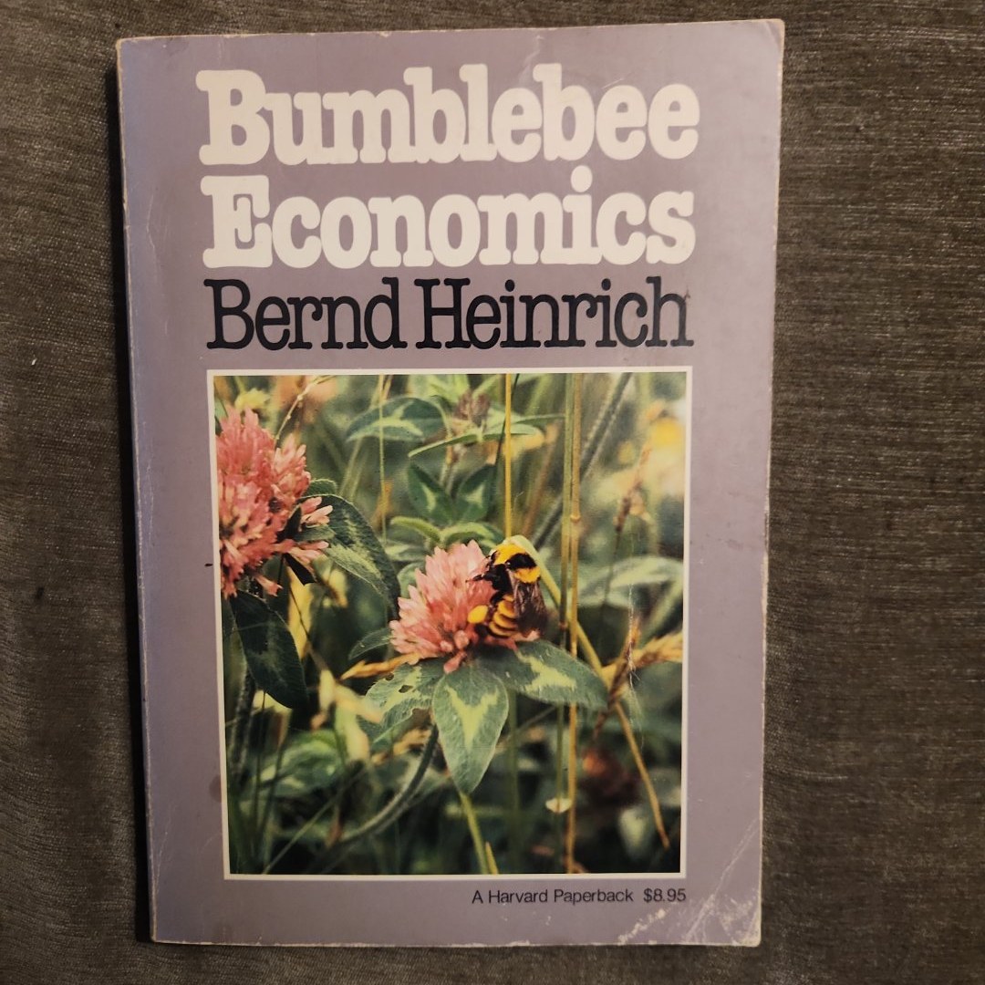 Bumblebee Economics