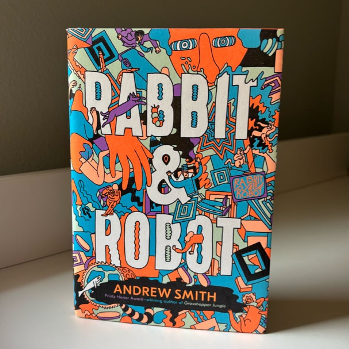Rabbit and Robot by Andrew Smith