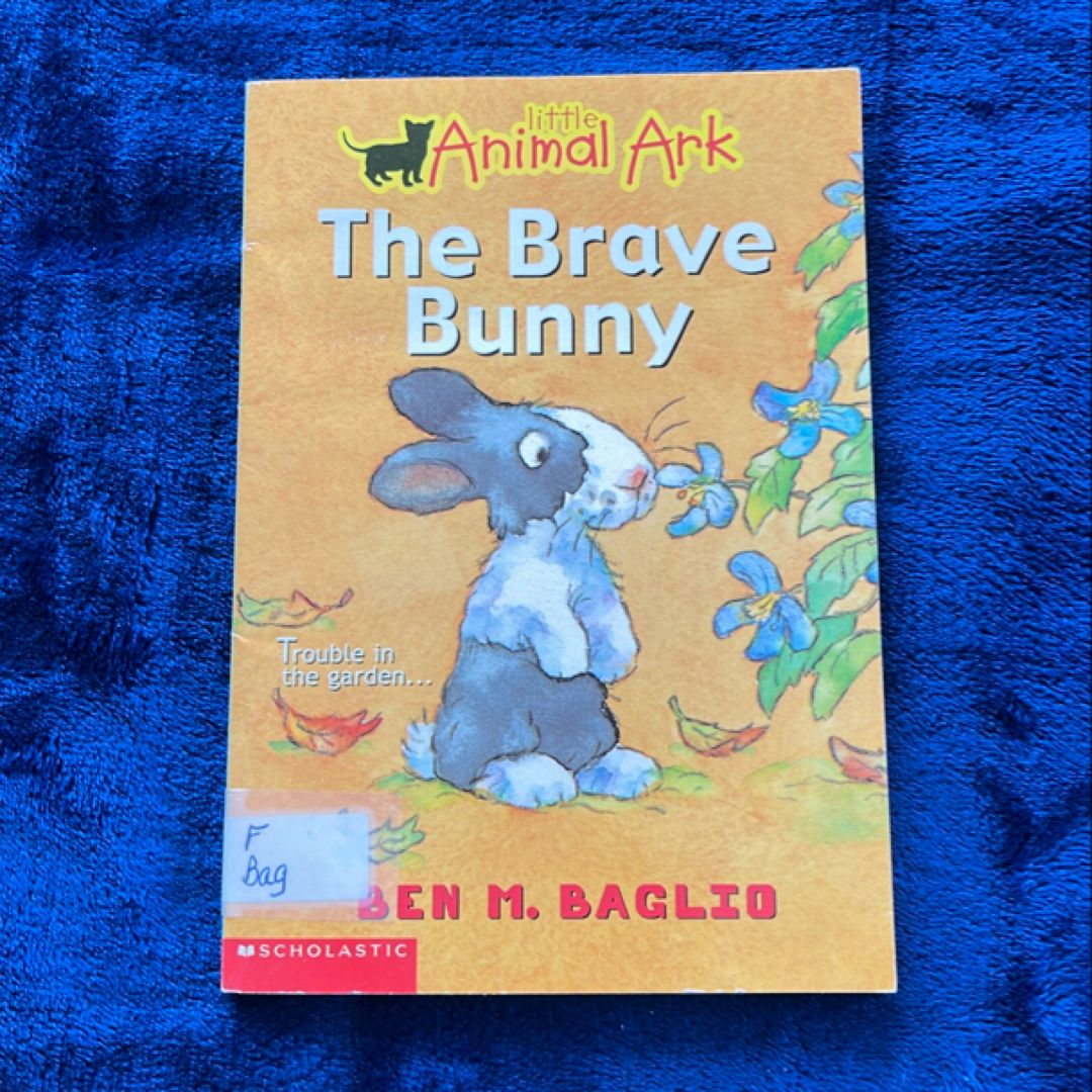 The Brave Bunny