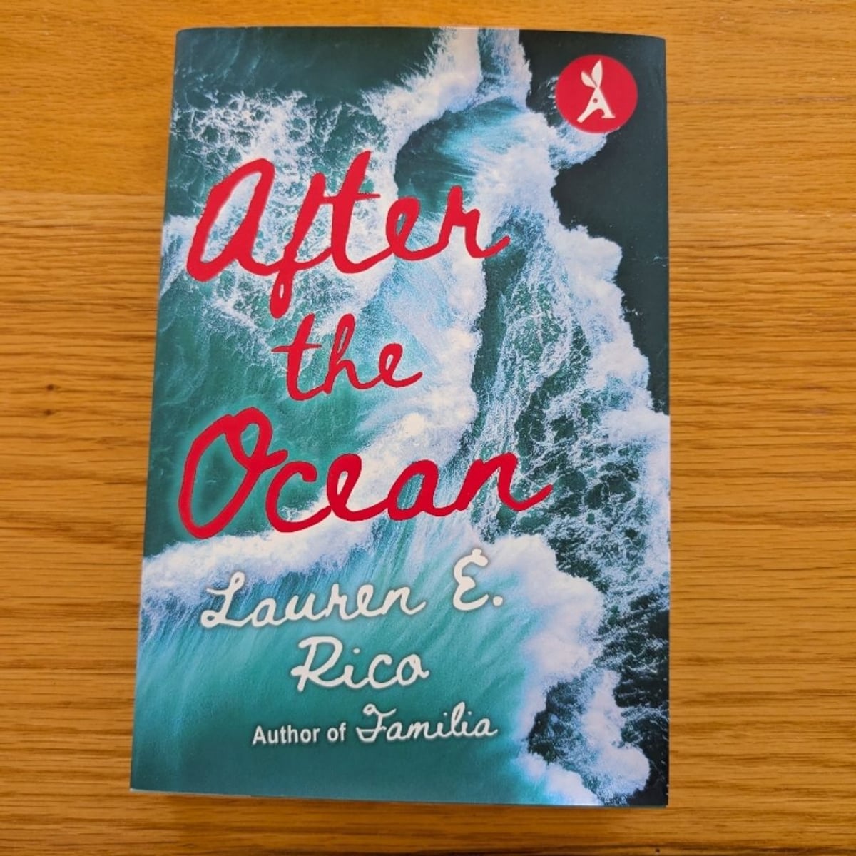 After the Ocean by Lauren E. Rico