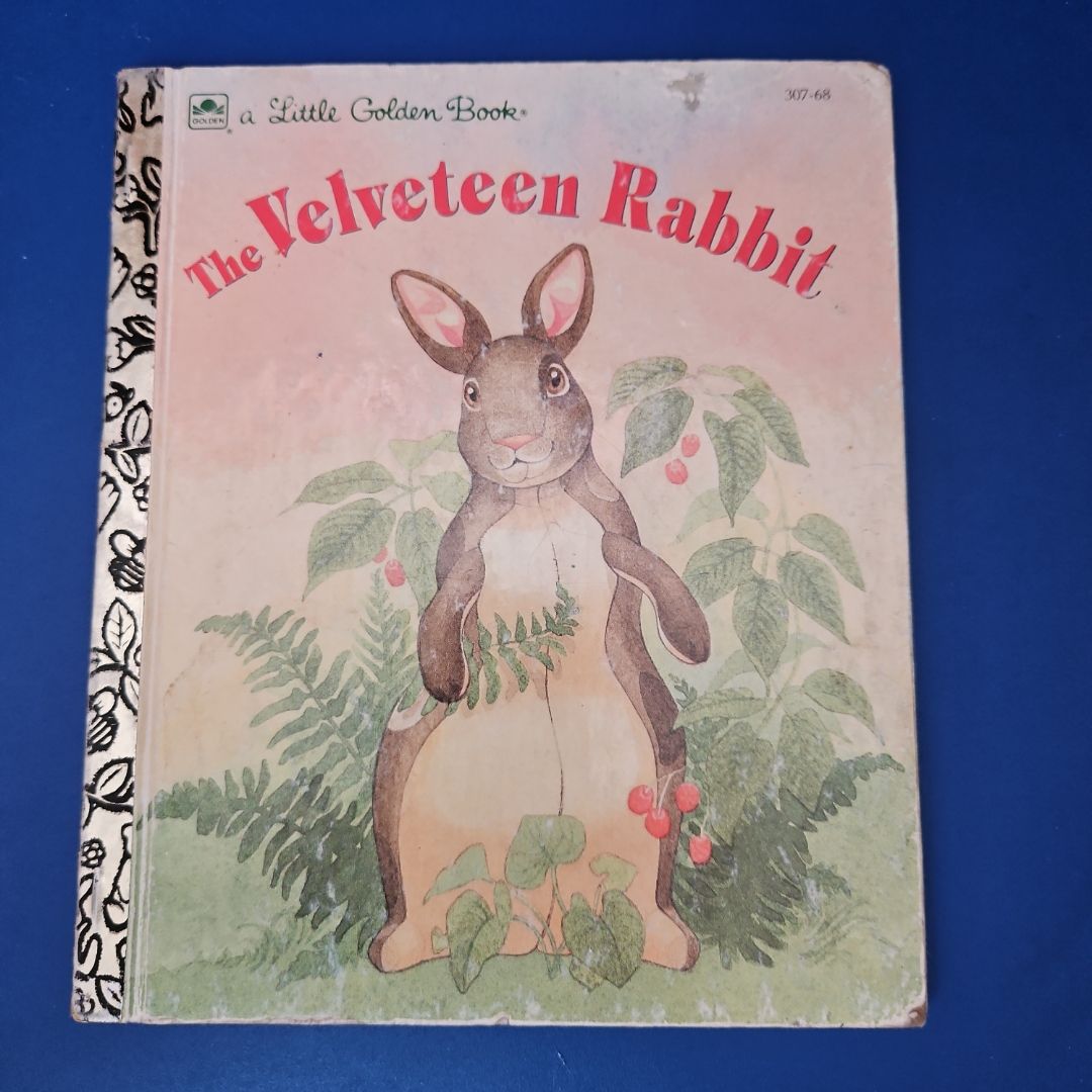The Velveteen Rabbit