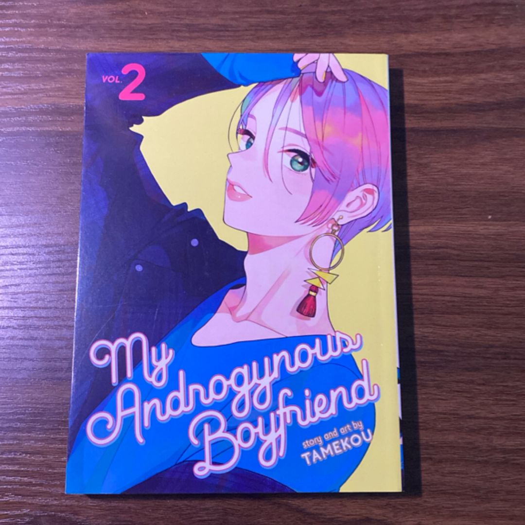 My Androgynous Boyfriend Vol. 2
