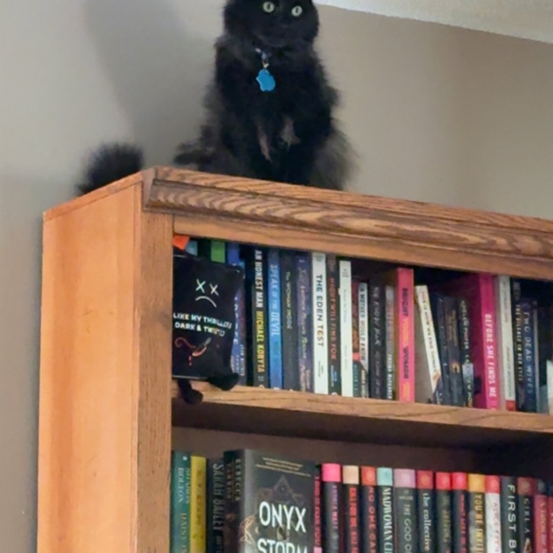Amazing Amy Reads
