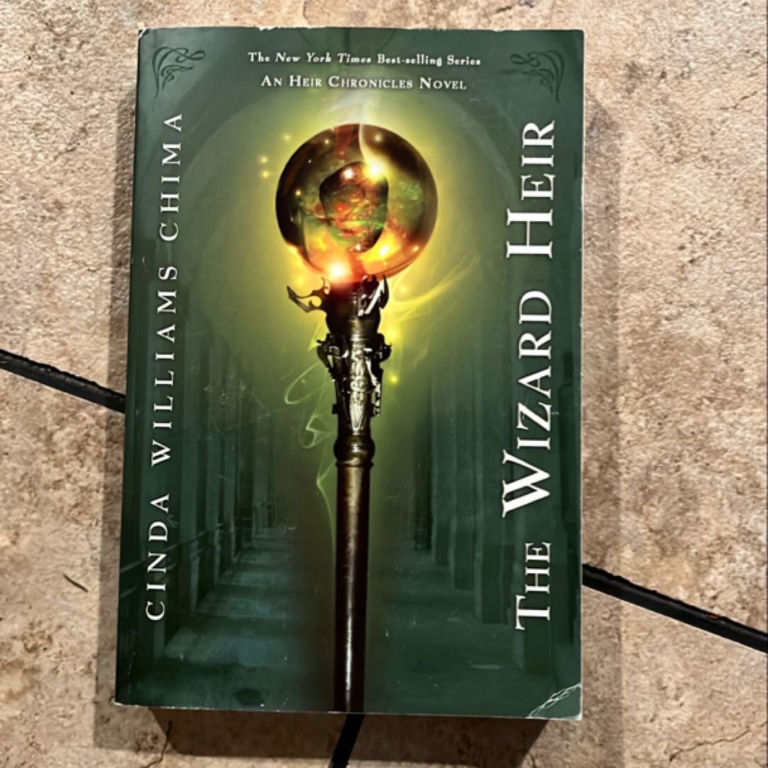 The Wizard Heir