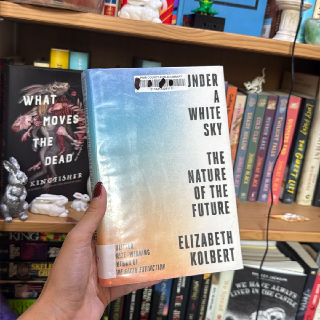 Under a White Sky