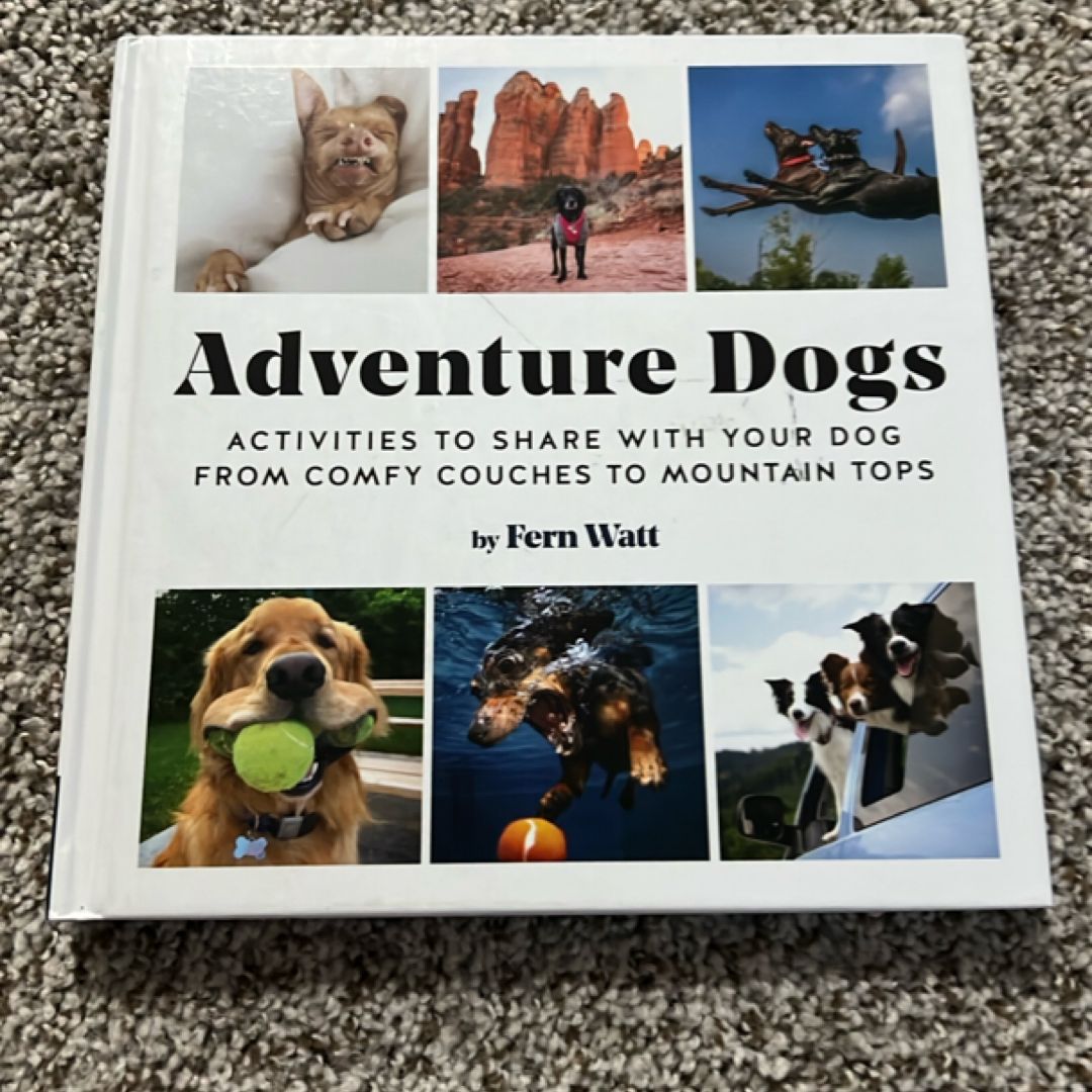 Adventure Dogs
