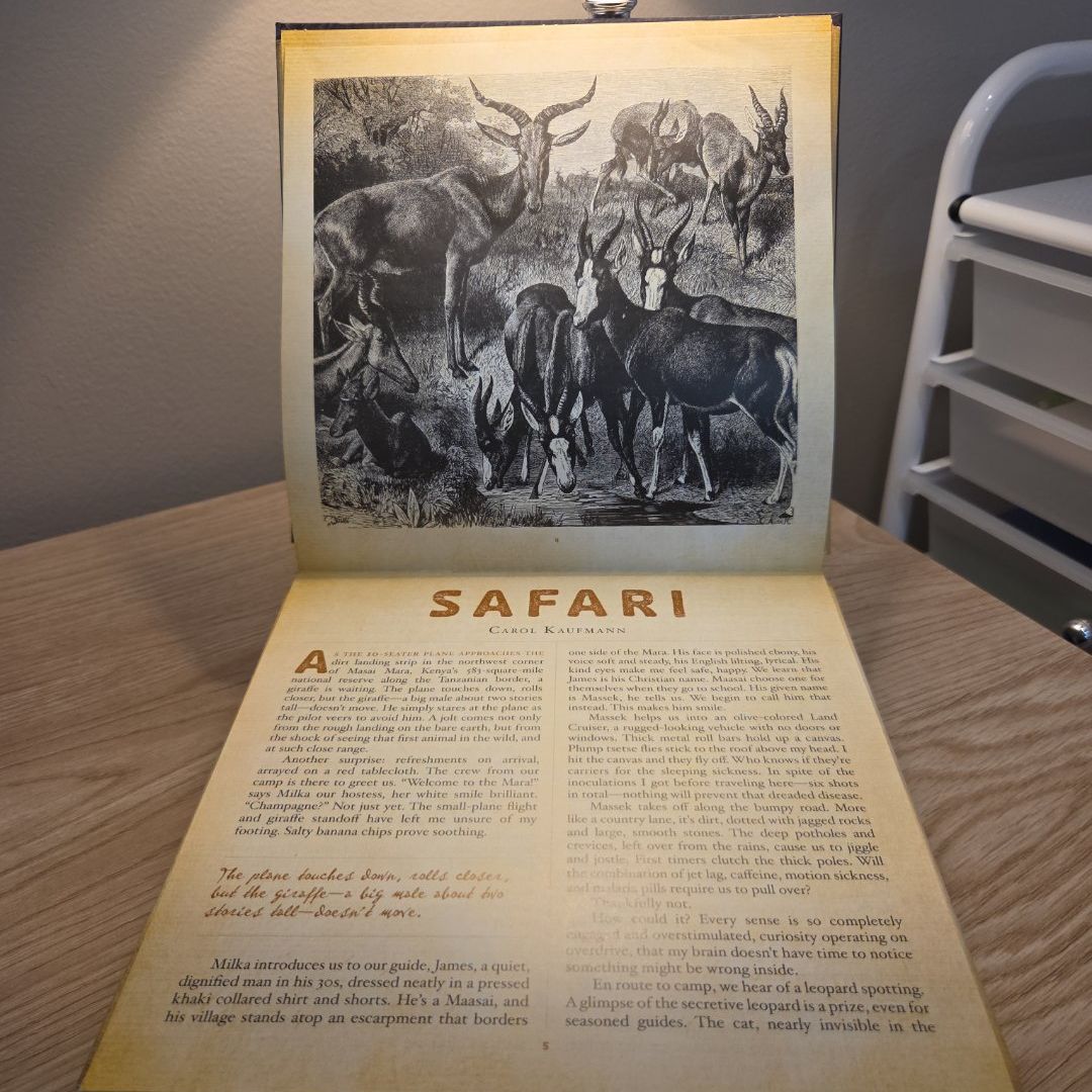 Safari