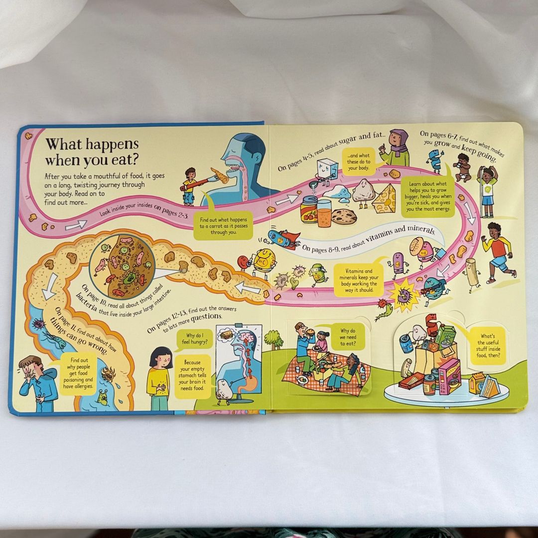 Look Inside: What Happens When You Eat BB