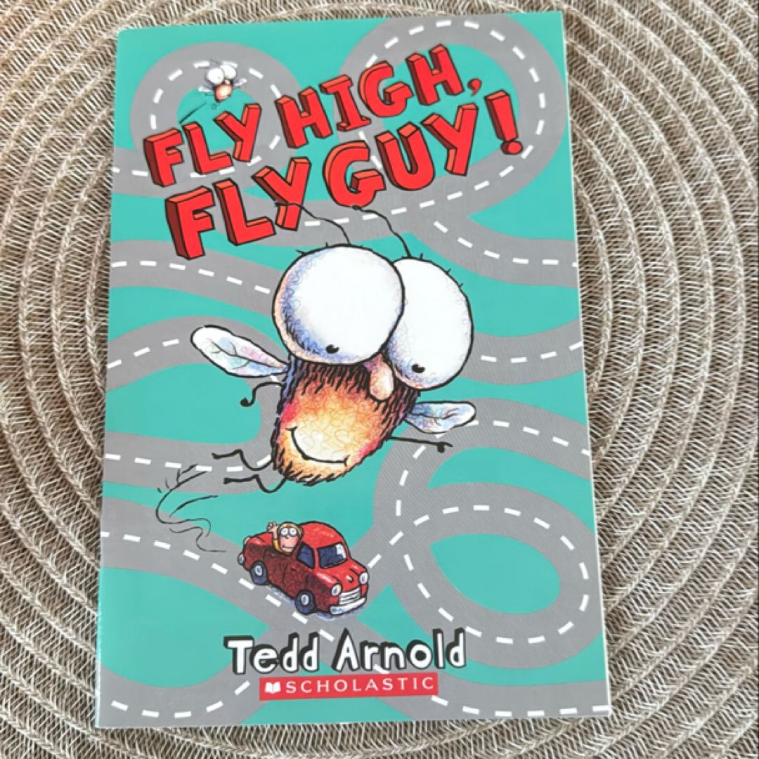 Fly High, Fly Guy!