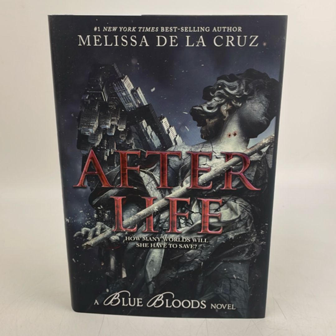 Blue Bloods after Life
