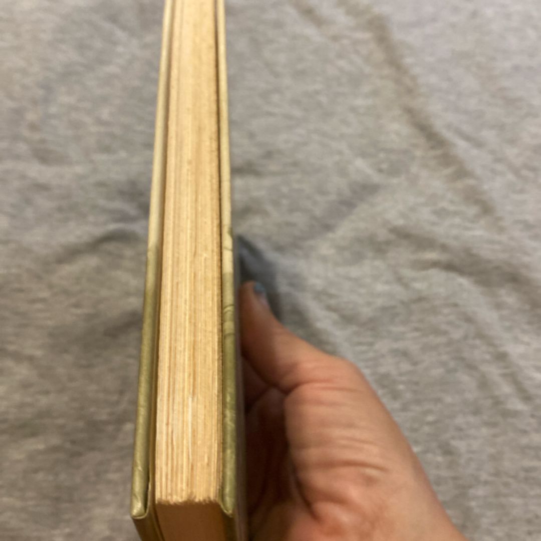 The Journal of Patrick Seamus Flaherty