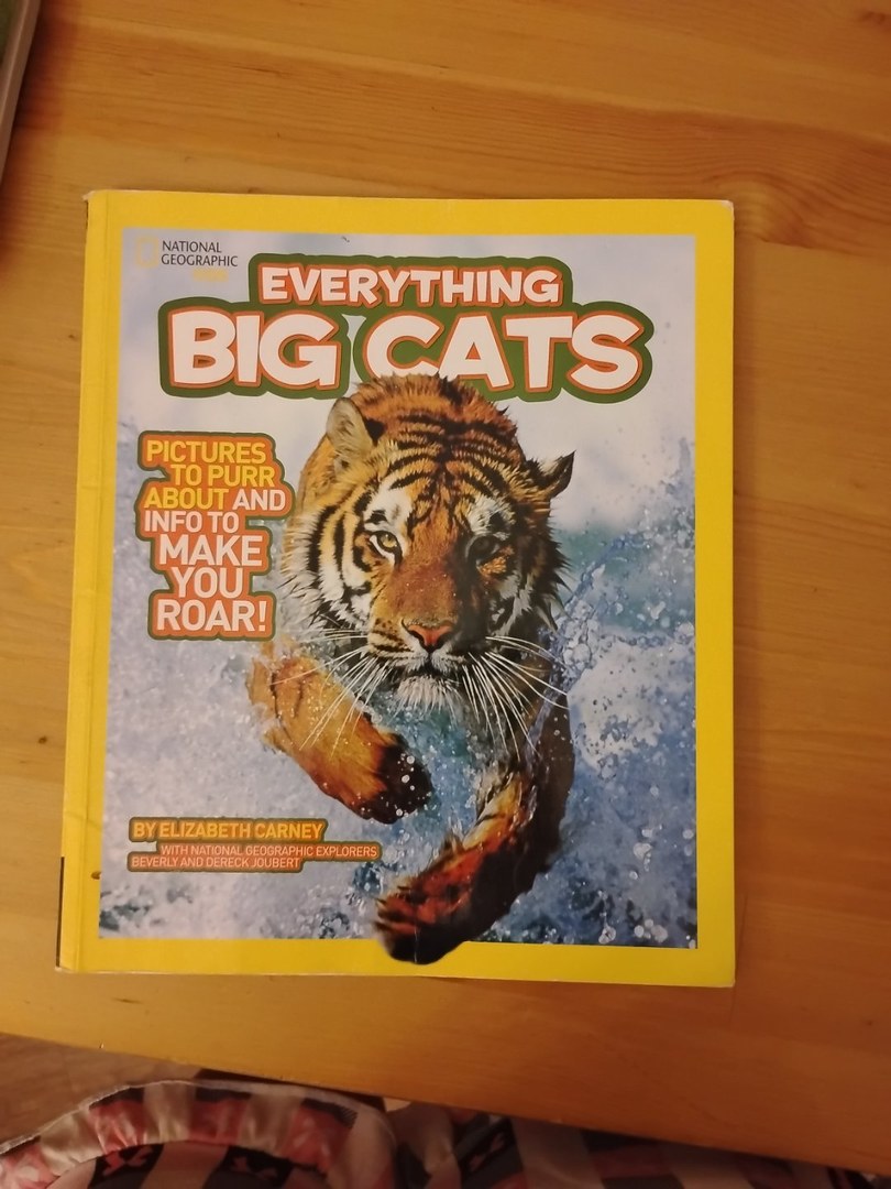 NGK Everything Big Cats (Special Sales Edition)