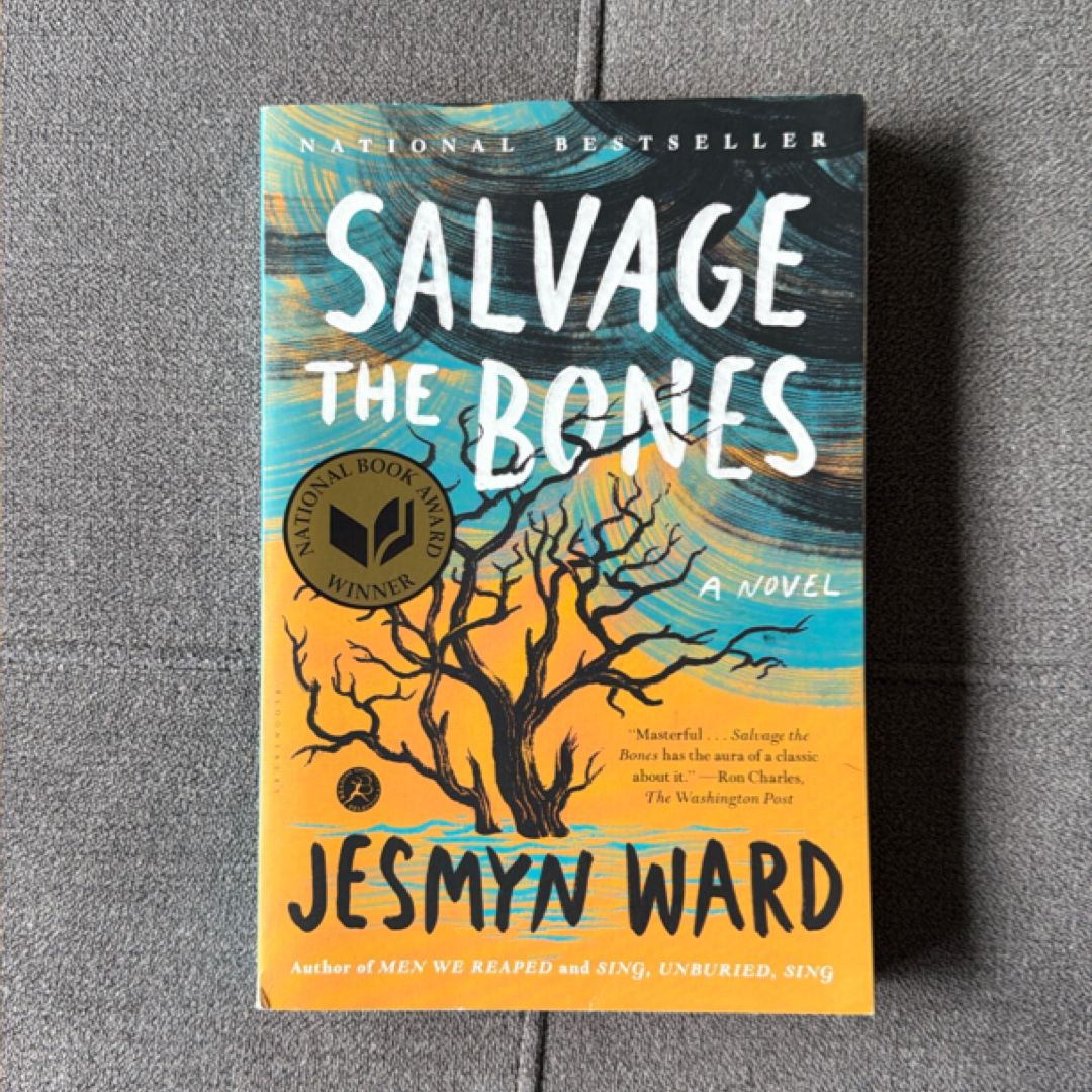 Salvage the Bones