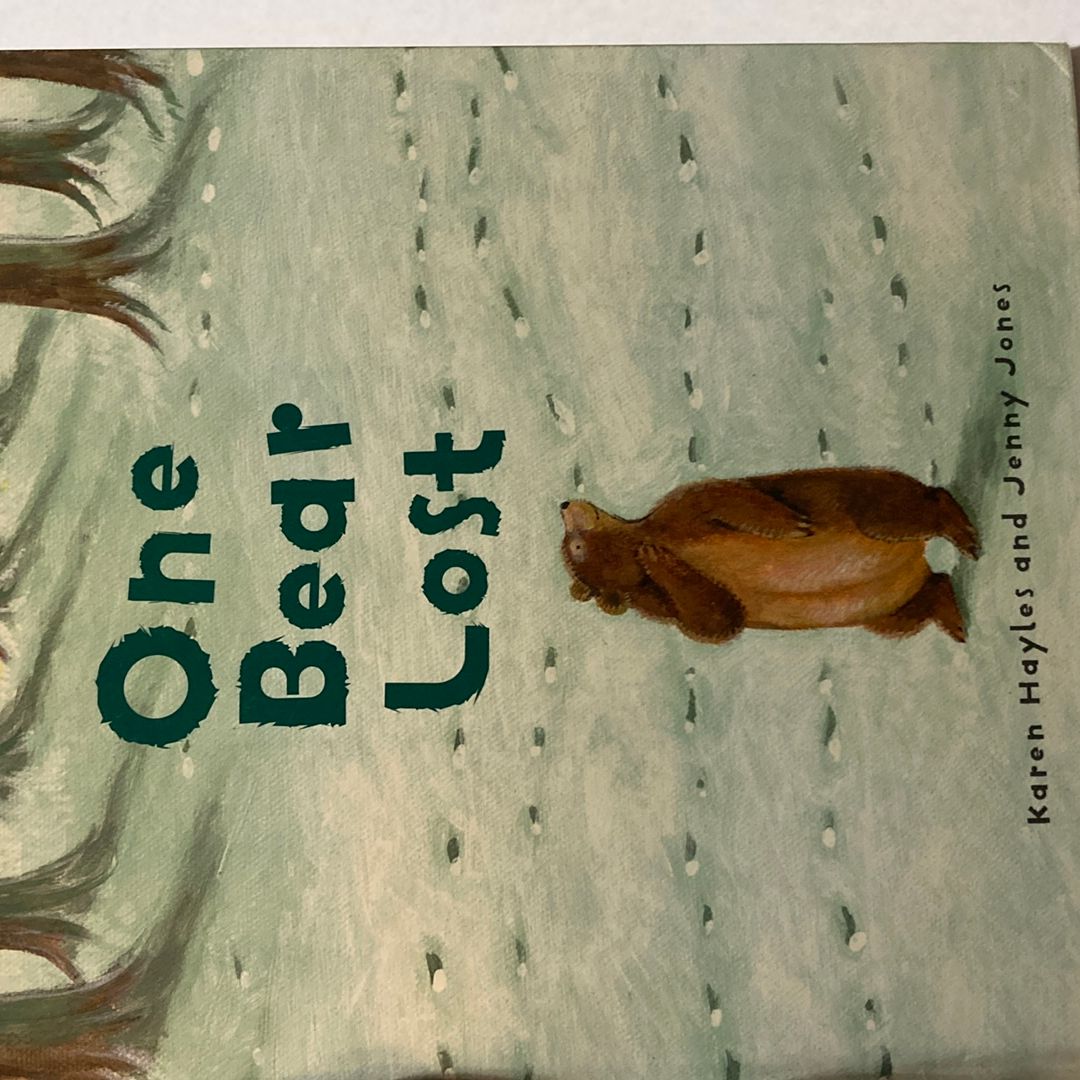 One Bear Lost