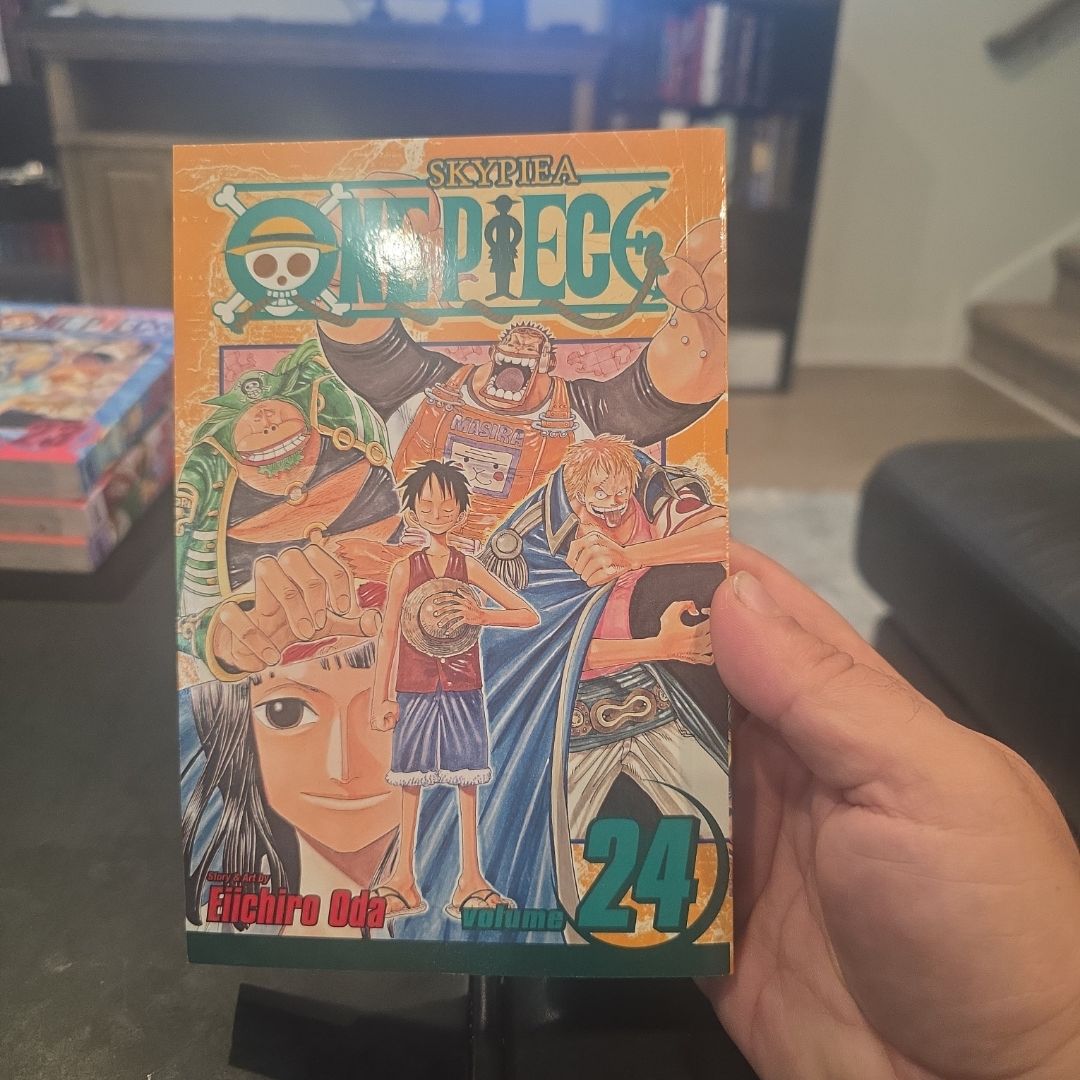 One Piece, Vol. 24